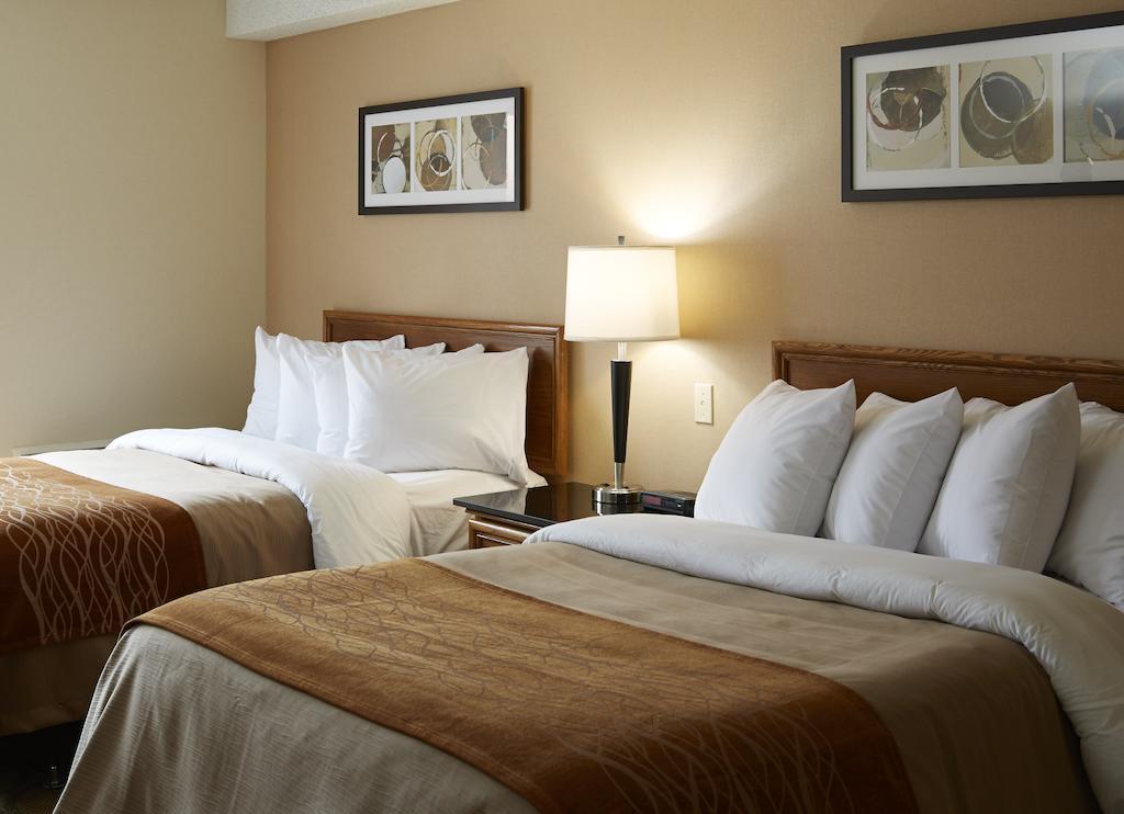Comfort Inn East Moncton Zewnętrze zdjęcie